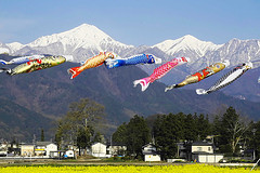 これまでのまとめです